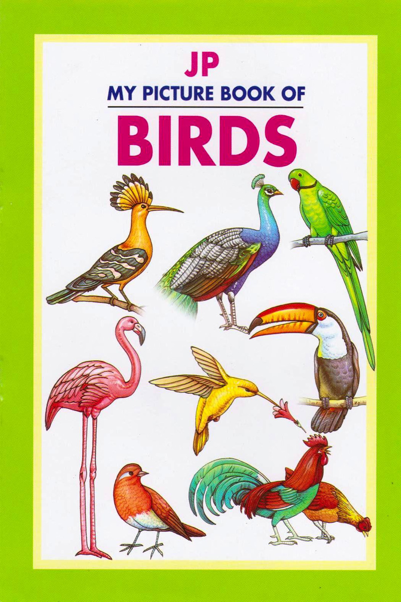 birds-2