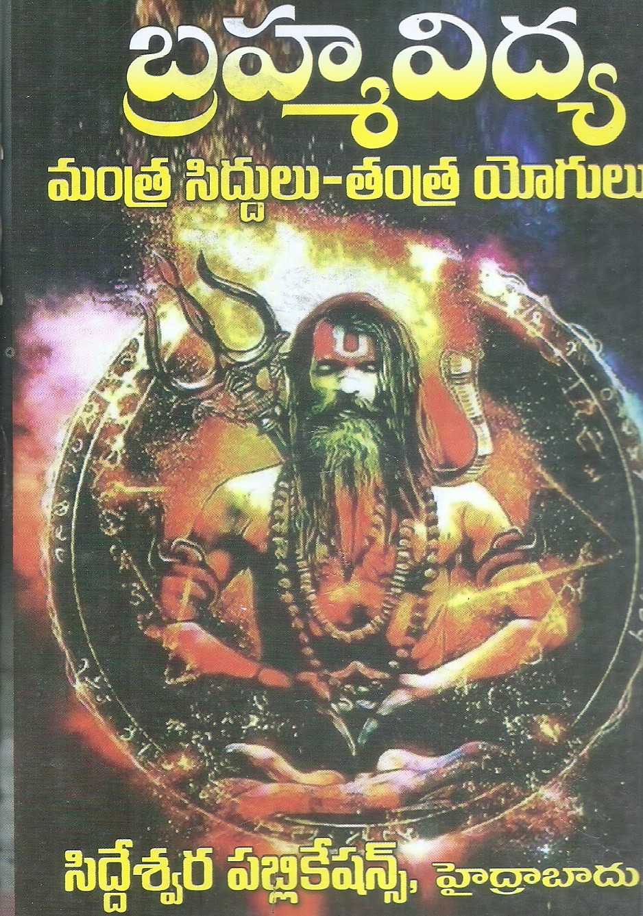 brahma-vidya-brahma-gundu-venkateshwar-raovidya