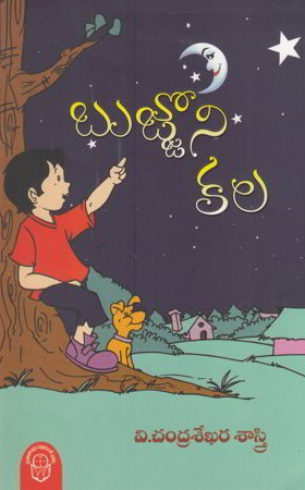 bujjoni-kala-telugu-book-by-v-chandrasekhara-sastry