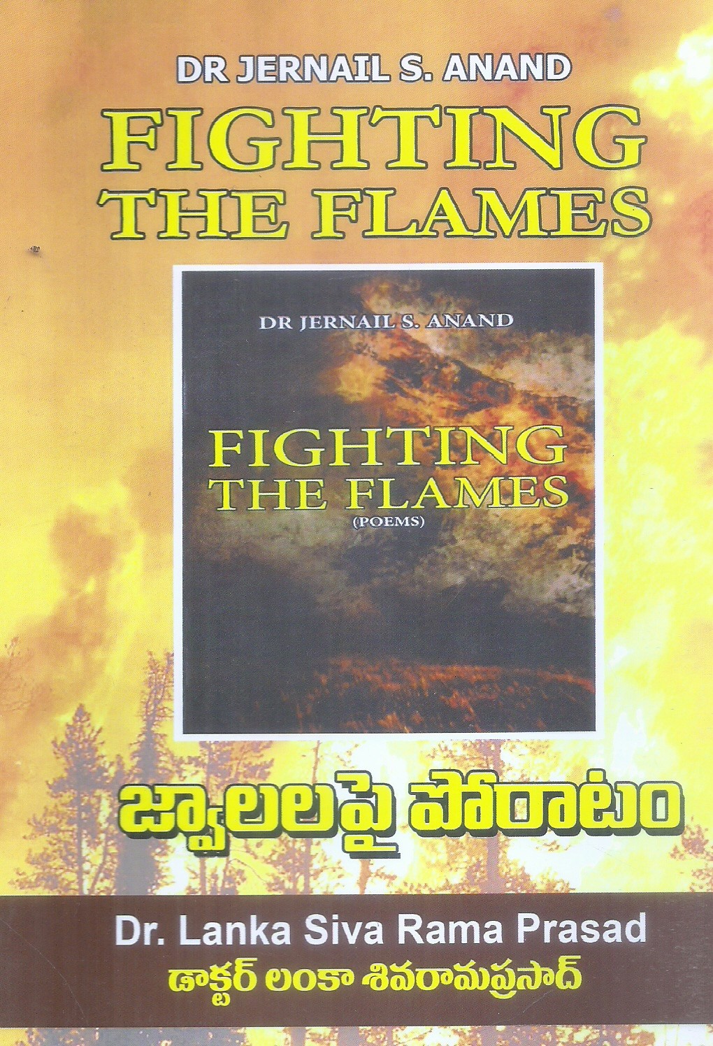 fighting-the-flames-dr-jernail-s-anand