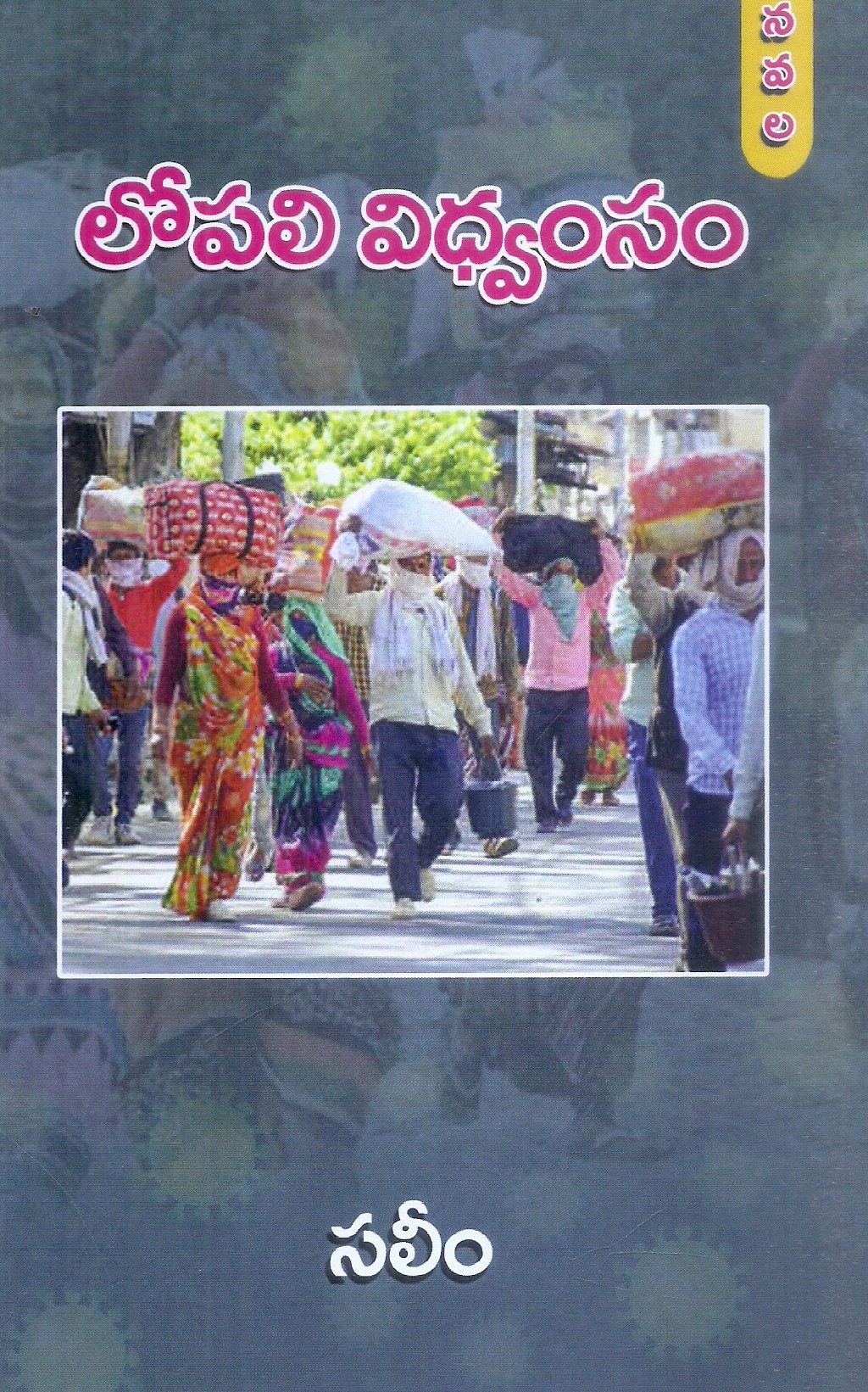 lopali-vidwamsam-saleem