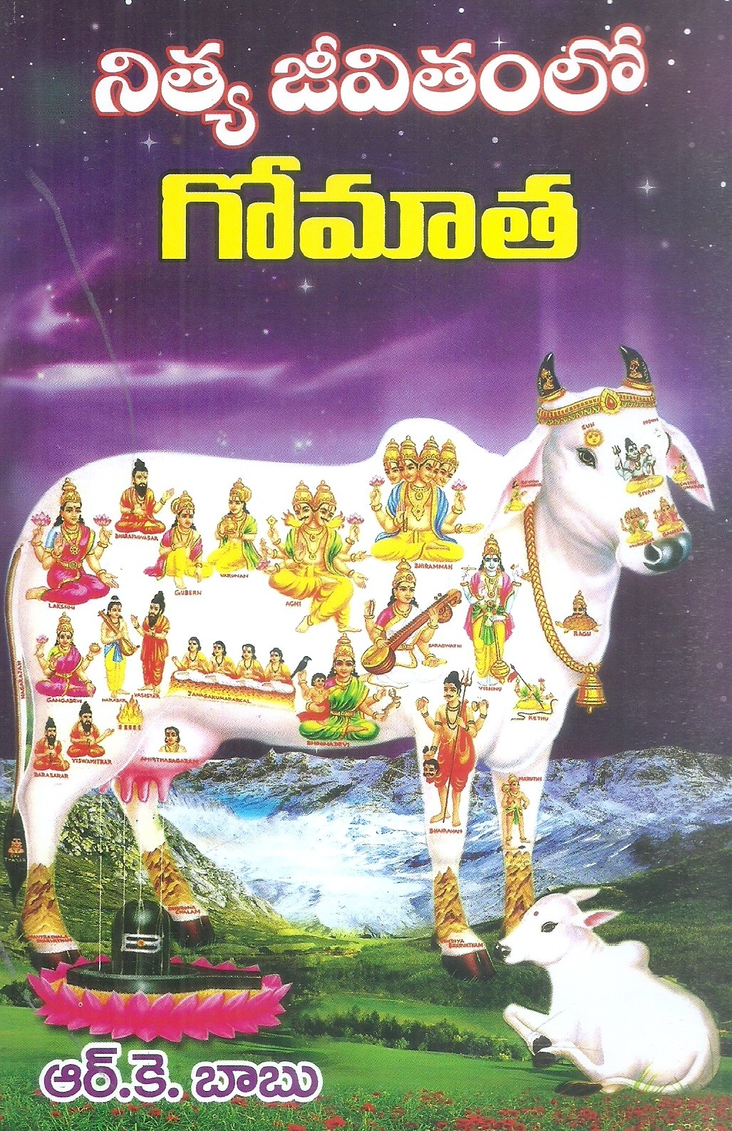 nitya-jeevithamlo-gomaatha-r-k-babu