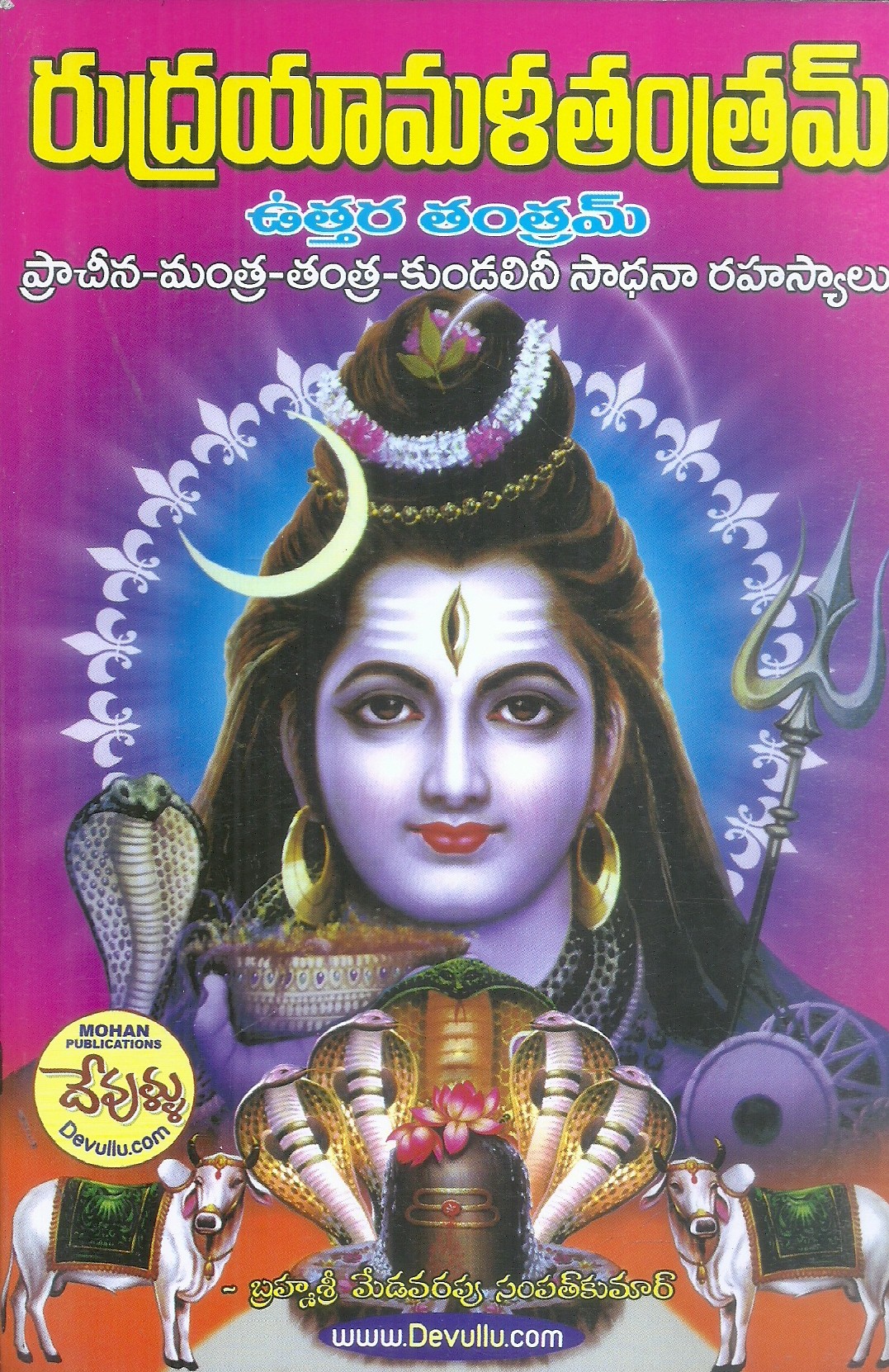 rudrayamala-tantram-medavarapu-sampath-kumar